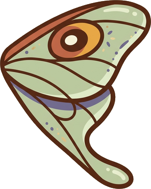 Moth Wing