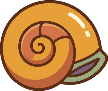 Snail Shell